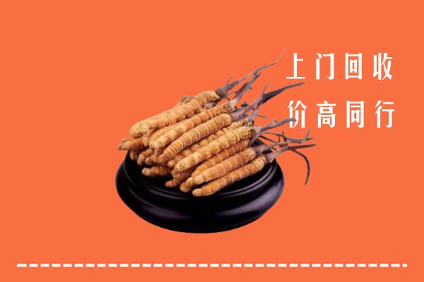 高价求购：利津县回收散虫草
