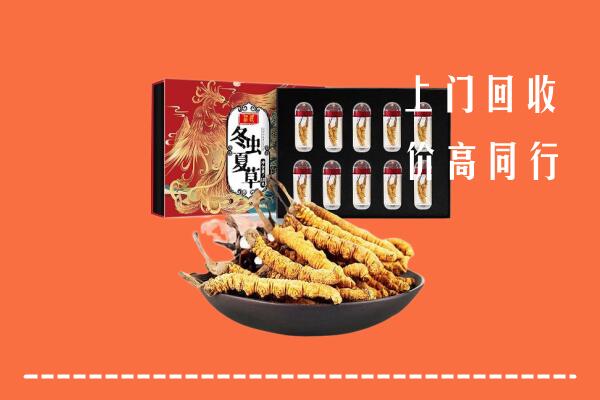 收购行情：利津县回收虫草
